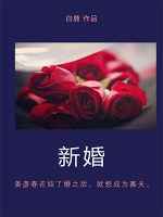 新婚爱情公寓