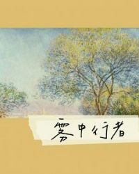 雾中行车抖音视频