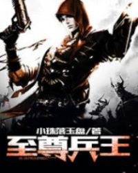 至尊兵王叶枫小说